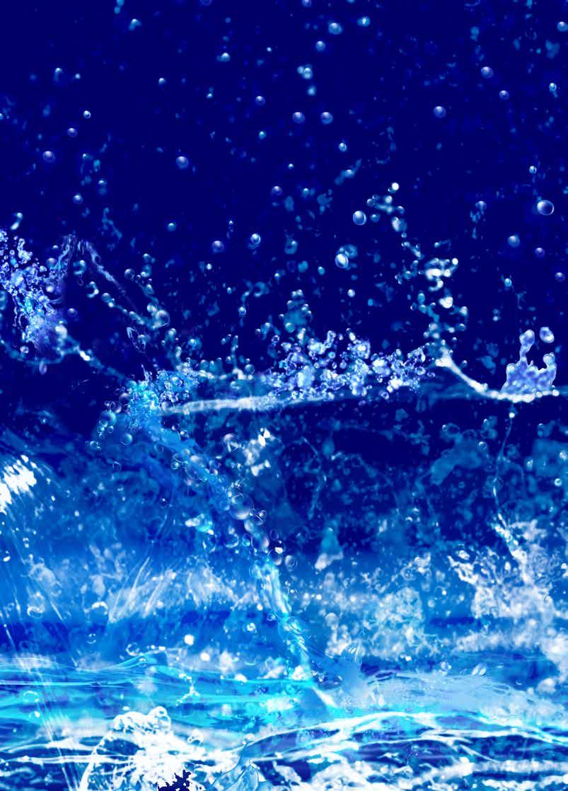 Blue Water Efficient water renew and savings Blue Water 100% Drainage Rinsing 67% overflow Rinsing + Drainage 6 Soil (g/l) 20 18 16 14 12 10 8 6 4 2 0 0 5 10 15 20 Overflow Blue Water 25 30 35 40