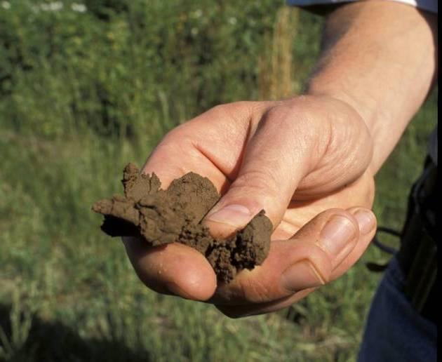 Soil texture: Factors affecting organic matter content Soil organic matter is generally higher in fine-textured soils