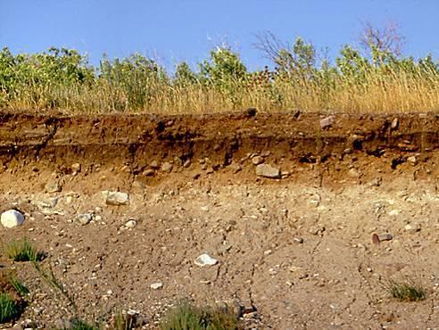 Soil Definition Solid earth material that has been altered by physical, chemical and organic processes so that it can support rooted plant life.
