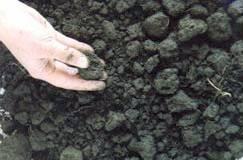 Structure The arrangement of primary soil particles into compound particles or aggregates.