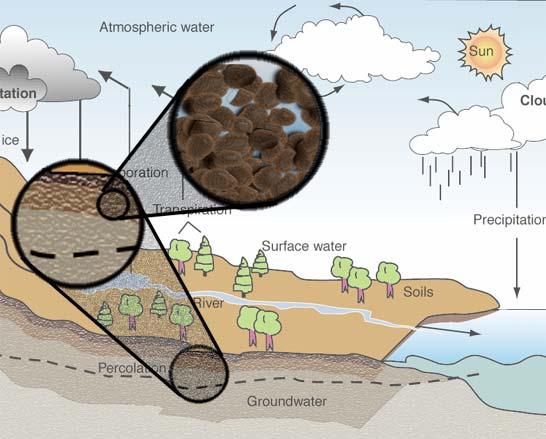 Hydrologic Cycle and the Soil Soil Properties related to the hydrologic cycle.