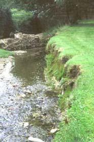 Combined sewer overflows Stormwater Unstable water levels Sediment in the water Failing septic systems