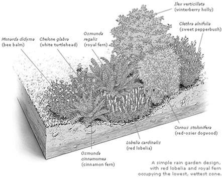 LID Method: Bioretention Cells Rain Garden Example Also known as rain gardens Vegetated depressions