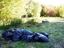Pile it (woody debris) Compost it (If no seeds, place in its own pile,