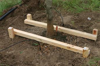 Staking Trees the right way Make your own stakes;