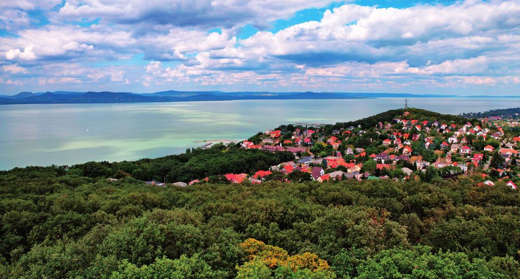 Our Summer School at the Lake Balaton and Valencia is a unique opportunity for you to: Develop the key transition skills and capabilities towards more climate resilient rural communities Improve