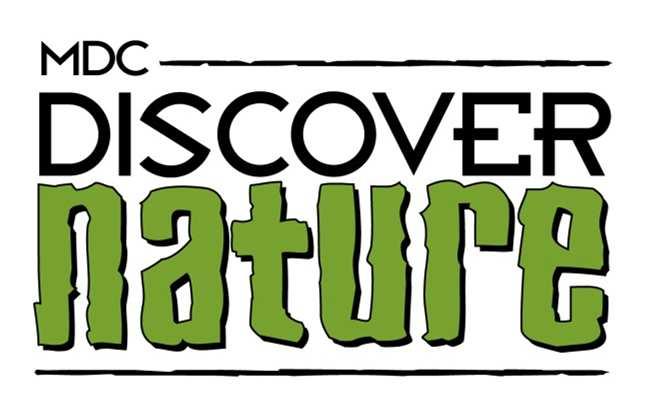 Discover Nature Programs Deepen your connections with nature and your family and friends.