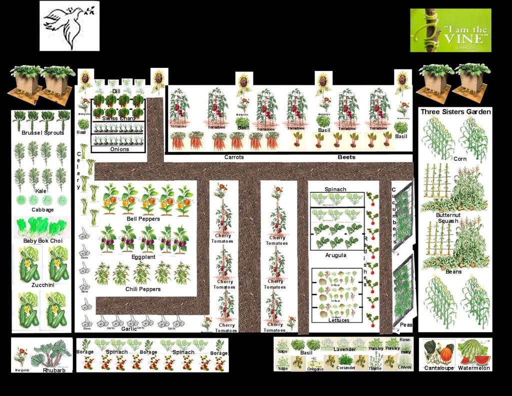 Mapping Make a list of plants that you would like to grow Vegetables - Cherry
