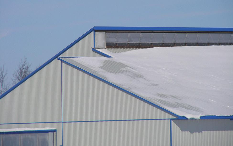 Figure 5. Overshot roof for ridge exhaust. Figure 4. Open ridge for cold-environment barns.