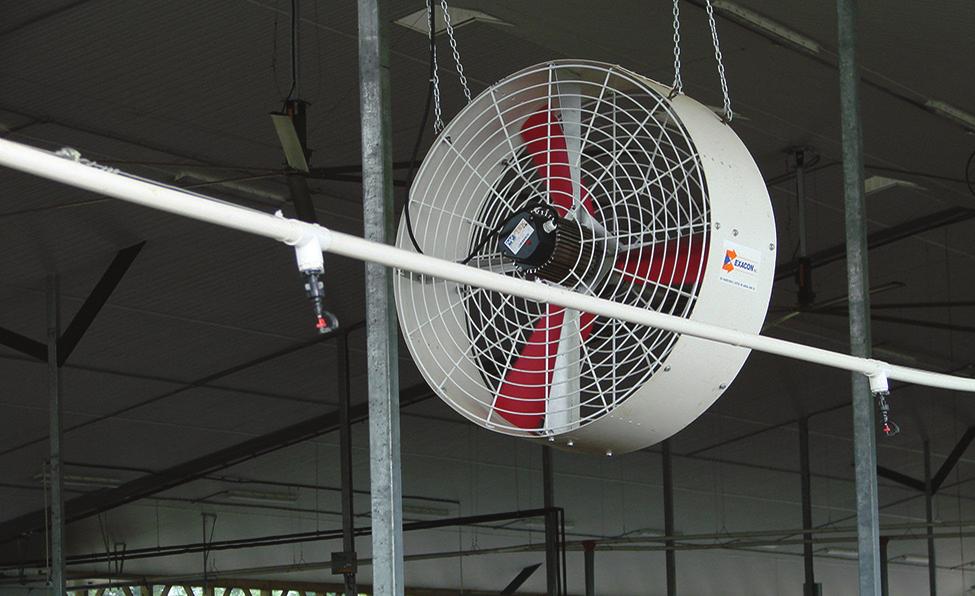 Control fans with a thermostat, but ensure they also have on/off switches for emergency shut-off. Start operation of fans at 21 C. Run all fans when the barn temperature reaches 27 C.