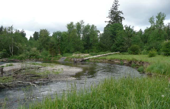 CITY OF TUMWATER Outfall Reconnaissance Inventory & Stream