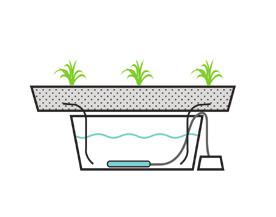 EBB & FLOW - (FLOOD AND DRAIN) In the flood and drain method, the plants sit in their own container separate from the nutrient reservoir.
