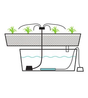 126 ECOSYSTEMIC SUPPLY CHAIN l a Research and Development Centre for Urban Agriculture l DRIP SYSTEMS RECOVERY / NON-RECOVERY Drip systems are probably the most widely used type of hydroponic system