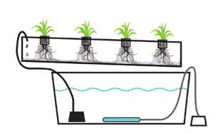 N.F.T. (Nutrient Film Technique) This is the kind of hydroponic system most people think of when they think about hydroponics. N.F.T. systems have a constant flow of nutrient solution so no timer required for the submersible pump.