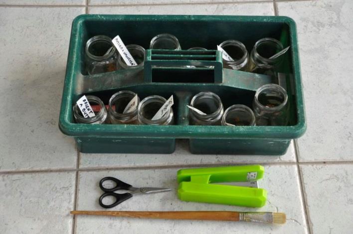 Our equipment: a tray to carry pollen bottles (all labelled) a pair of fine scissors to remove stamens (they can also be done