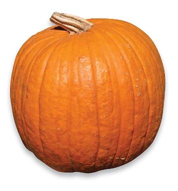 November Participate in local pumpkin composting events First Saturday after Halloween