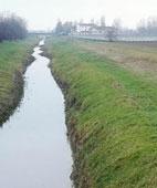 it Project description: Background Most European floodplains are crossed by a dense network of channels, created to protect areas from flooding and to enable the land to be used, typically for