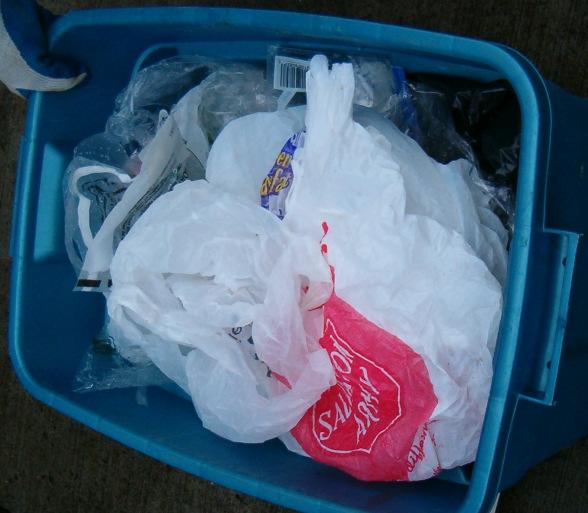 Plastic bags/films: Although only a small percentage of the garbage was composed of plastic bags and film (1.6%), it represented a significant volume of the garbage.