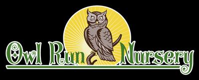 MikeOwlRunNursery@gmail.com 703-932-8202 10318 Bristersburg Road Catlett, VA 20119 P.O. Box 336 Catlett, VA 20119 Inventory is constantly changing, please inquire if you need a plant or quantity not listed.