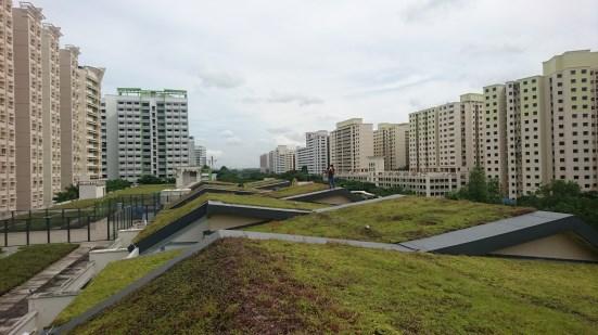 It MUST be SUSTAINABLE Gaiamat is a mat based green roof technology that allows ANYONE to install and maintain. Unlike other green roof systems, Gaiamat green roofs have a very low maintenance regime.