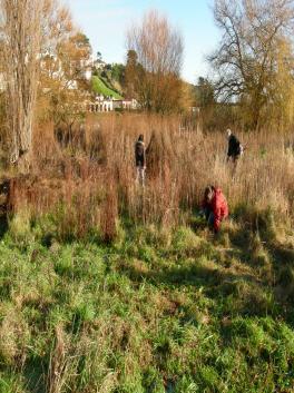 Plymouth University, reading Animal Conservation) went into the wildfowl conservation area last autumn to start the laborious task of identification and logging the many different species of plants