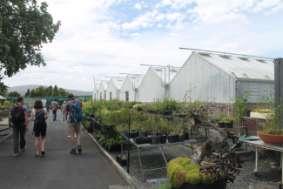 Left: view of the nursery glasshouses and compound Right: L.