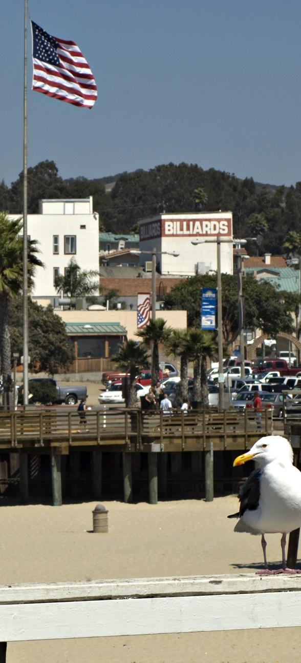 1.4 Other Planning Efforts Other planning efforts that have contributed to Pismo s Downtown include the Pismo Beach s General Plan, the Local Coastal Plan (LCP), the 1984 Waterfront Revitalization