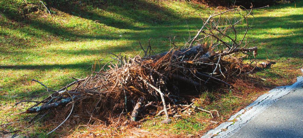How to Place Yard Debris Next the Curb: Place yard debris in bags, boxes or piles at least 3 feet away from obstacles, like mailboxes, fences, utility poles and lines, low hanging wires and tree