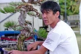 Read all about his multi-generational bonsai business at http://bonsai.shikokunp.co.jp/en/map/hiramatsu-shushoen-bonsai-garden.html.