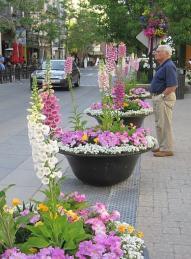 1 Provide a pedestrian-friendly streetscape with