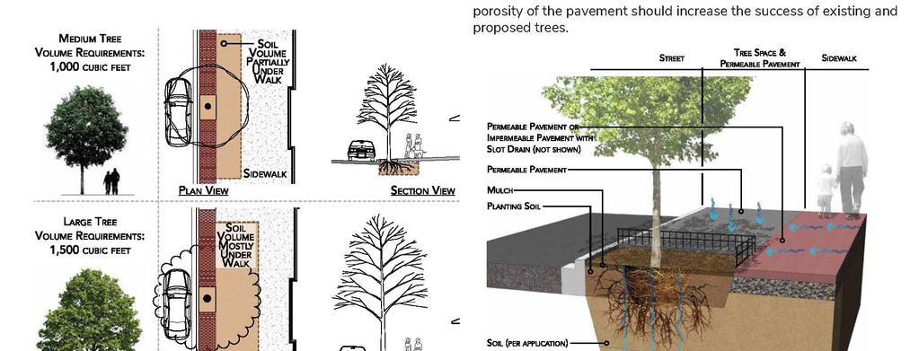 Increase Planting Volume for Street Trees Cleveland