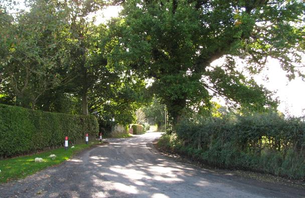 Lane. Level hedgrows and green verges enhance the natural character of the route throughout the parish