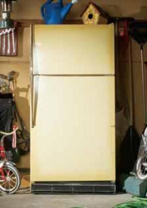 You d be amazed at what your old refrigerator can save!