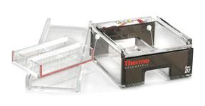Thermo Scientific Laboratory Products Thermo Scientific* Owl* D2 Wide-Gel Electrophoresis Systems Thermo Scientific* Owl D2 Wide-Gel Electrophoresis System can run from 10 to 80 samples on one gel.
