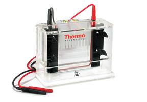 Thermo Scientific Laboratory Products Thermo Scientific* Owl* P81 Single-Sided Vertical Electrophoresis System Thermo Scientific Owl P81 Single-Sided Vertical Electrophoresis System is an economical