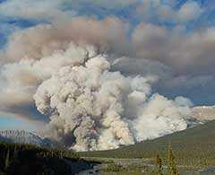 Problems Caused by Wildfire More than 1 billion $ yearly cost to manage; Significant health and safety hazards to Canadians;