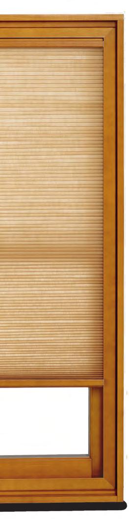 With finish options to match your windows or doors, a precision fit with no visible cords or pulleys, these shades blend