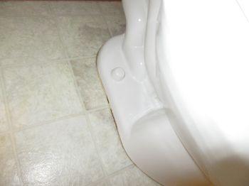 11. Toilets REPAIR: Moisture staining noted on vinyl flooring and elevated moisture levels detected in floor area around toilet.