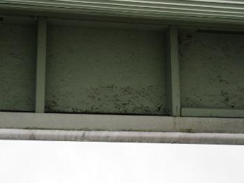 REPAIR: Moisture staining noted on west side eave above garage. Upper downspout drains on to roof above stains. Repair as necessary.