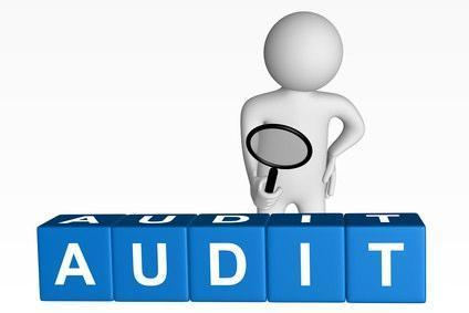 COMPANY AND AUDIT PROFILE Contact Us: Ph: 044-22681385 Cell: