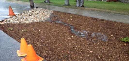 storm inlets regularly, leaves will clog Rocks will be helpful around inlets to rain garden and storm drains