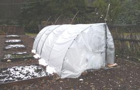 Small Greenhouse Plastic and PVC pipe Location: West Creston Found Materials Greenhouse Cold