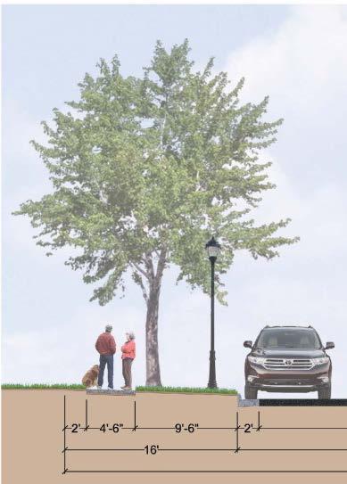 Comprehensive Plan Strategies Nature and the Environment Vegetation Develop requirements for boulevard trees Promote tree planting incentives Encourage tree protection in new growth areas Develop