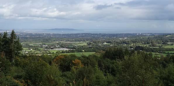 The Dublin Mountains is an amenity already used by a minimum of 350,000 recreation users annually based on data from visitor counters to a selection of forests.