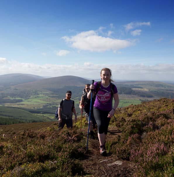 08 How will the proposals influence the heritage of the Dublin Mountains?