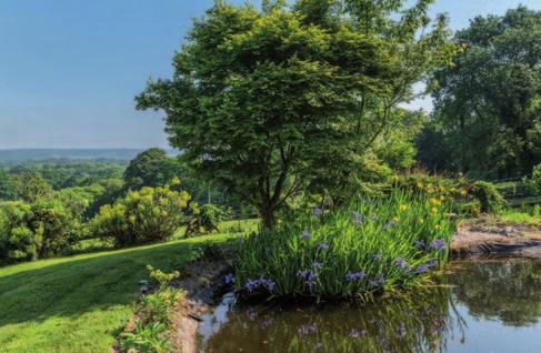 The garden is largely lawn with a wonderful old beech tree and sown in part with wild flowers and featuring a pond fed from rainwater drainage.