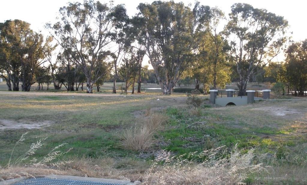 WHAT WE HAVE Natural setting including Seven Creeks and Wetlands Some sections of shared path (non joining) Informal irrigated oval Large grassy tracts 2. PASSIVE OPEN SPACE COMMUNITY PRIORITIES 1.