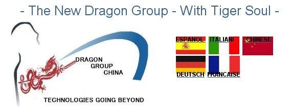 A. Dragon Group China Limited Address: Fuxin Building Office 12D No.
