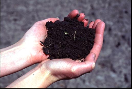 Good compost builds rich topsoil Complex humic acids (humus) form. Fine texture like good topsoil.