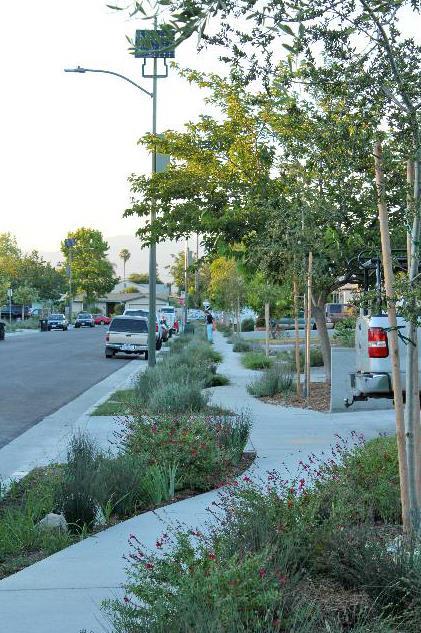 Miracle on Elmer Ave, Los Angeles Flood stricken neighbourhood became an urban forest/oasis Diverted $42 million from storm drain